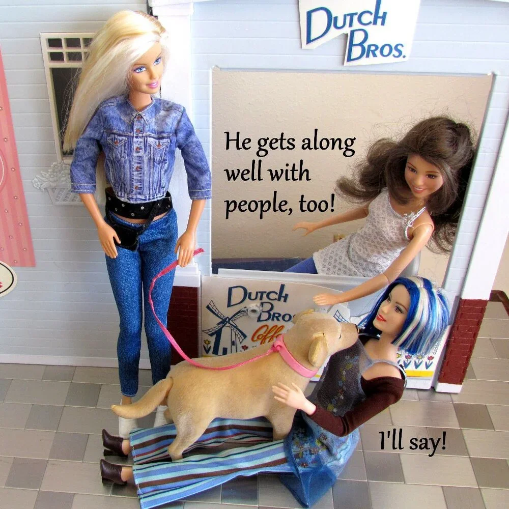 BARBIE + DOG, ARTICULATED DOLL w CLOTHES; SEE THEIR SWEET STORY!